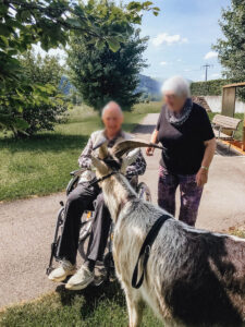 Mecker Projekt Ziegen tiergestuetzte Aktion Intervention tiergestuetzte Arbeit Tierthearpie Ziegenbock Altersheim Wandern Ziegentrekking 20 225x300