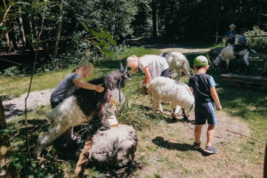 Mecker Projekt Ziegen tiergestuetzte Aktion Intervention tiergestuetzte Arbeit Tierthearpie Ziegenbock Altersheim Wandern Ziegentrekking 23 300x200