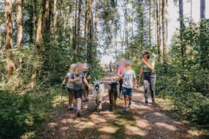 Mecker Projekt Ziegen tiergestuetzte Aktion Intervention tiergestuetzte Arbeit Tierthearpie Ziegenbock Altersheim Wandern Ziegentrekking 24 300x200