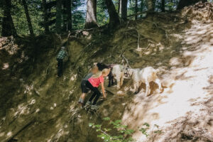 Mecker Projekt Ziegen tiergestuetzte Aktion Intervention tiergestuetzte Arbeit Tierthearpie Ziegenbock Altersheim Wandern Ziegentrekking 25 300x200