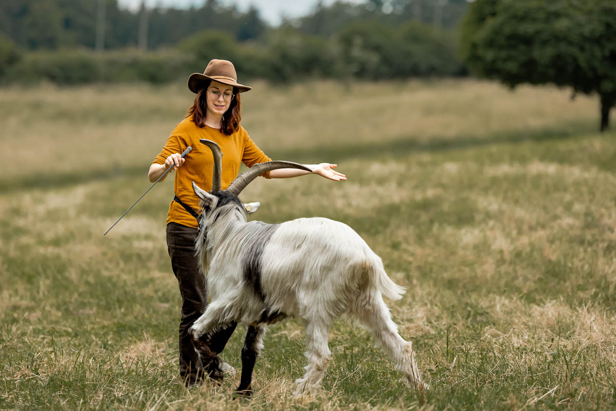 Ziegentraining Ziegenkurs Ziegentrekking Wandern mit Ziegen Bern Mecker Projekt Weiterbildung Entschleunigung 55