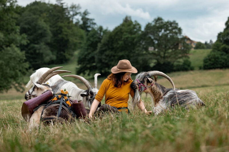 Ziegentraining Ziegenkurs Ziegentrekking Wandern mit Ziegen Bern Mecker Projekt Weiterbildung Entschleunigung 61 800x533